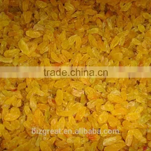 Dried Fruits-Air Dried Sweet Dried Golden Raisins for Sales thumbnail-6
