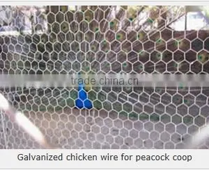 Hexagonal Woven Twist Wire Mesh - Galvanized and PVC Coated Chicken Mesh Price thumbnail-6