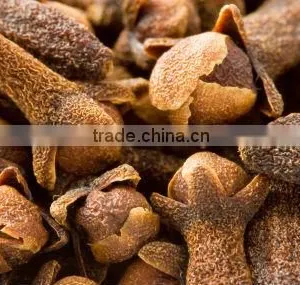 Best Seller Of Clove Oil For Export thumbnail-1
