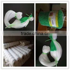 Hot Selling High Quality Bean Cucumber BOP Net Plant Climbing Net thumbnail-2