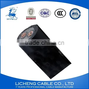 XLPE Insulated PVC Sheathed Copper Power Cable 2core Electric Cable 2x120mm2 thumbnail-1