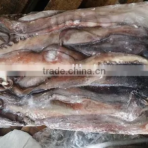 Wholesale Squid Frozen Giant Squid Tentacle thumbnail-1
