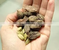 Vietnam Dried Style BLACK CARDAMOM Exporter (website: Hanfimex08) thumbnail-2