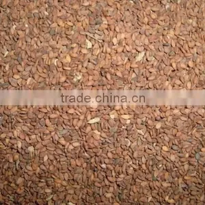 Brown Sesame Seed thumbnail-2