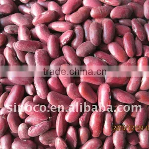 Red Kidney Bean thumbnail-1