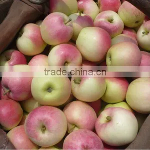 Gala Apple Shannxi 2012 Crop thumbnail-1