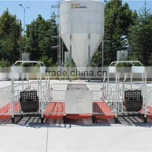 Goldenest High Quality Cheap Price Automatic Farrowing Crate for Pigs Sow Sty Farming Equipment for Sale thumbnail-2