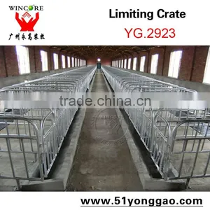 2.0mm Galvanized Pipe Pig Limit Crate Swine Gestation Cage for Pig Farm Equipment thumbnail-2
