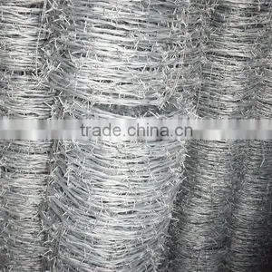 Barbed Iron Wire thumbnail-1