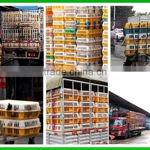 2017 Factory Wholesale Durable Chicken Transport Cage/plastic Poultry Crate for Chicken Duck and Goose thumbnail-6
