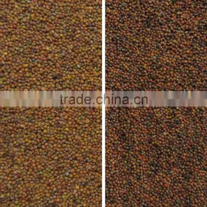 Seed Color Sorter With CE Certification thumbnail-3