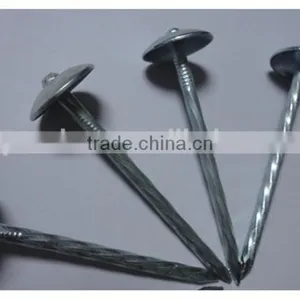 1"*11G Galvanized Umbrella Head Plain and Ring Shank Roofing Nail (factory) thumbnail-1