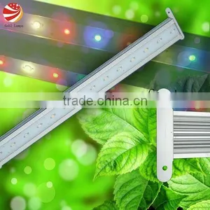 Strongest Penetration LED Grow Light thumbnail-1