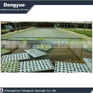 Agricultural Polyurethane High Densuty Seeds Grow Sponge Germination Foam thumbnail-6