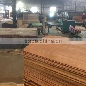 Linyi Factory Grade a b c d Rotary Cut 0.28mm 1220x2440 BNG Face Veneer thumbnail-4