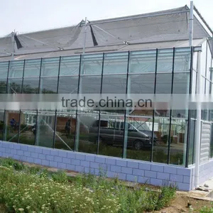 Steel Structure Building Solid Greenhouse thumbnail-1