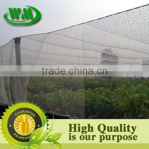 Bird Net thumbnail-1