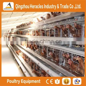 Qingtzhou Heracles High Quality Poultry Egg Layer Chicken Cage Price thumbnail-1