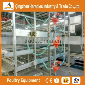 China Heracles Trade Assurance Poultry Farming Equipment Chicken Layer Cage in Philippines thumbnail-6