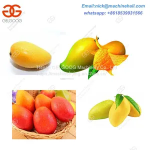 Mangoes Sorting Machine/Mango Sorting Machine for Sale/Professional Mango Sorting Machine thumbnail-3