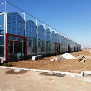 Commercial Glass Greenhouse With Clear PC Sheet Roof thumbnail-2