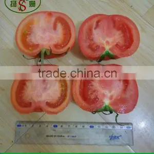 Tomato thumbnail-3