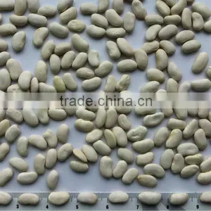 Flat White Kidney Beans thumbnail-1