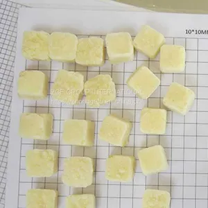 Frozen IQF Garlic Puree Tablet thumbnail-2