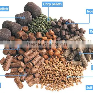 New Product Floating Fish Food Pellet Processing Making Machinery thumbnail-4