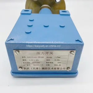 Diaphragm Pressure Switch SPDT&DPDT 1/2NTF thumbnail-2