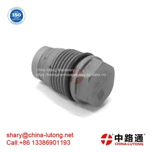 BOSCH Pressure Relief Valve 1 110 010 035 Common Rail High Pressure Relief Valve thumbnail-1