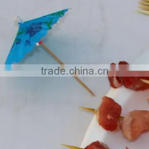 Bamboo Skewer for Kids Decorative Skewers thumbnail-1