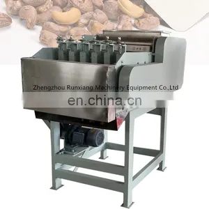 Cameroon Cashew Nut Packaging Cashew Peeling Machine in China thumbnail-1