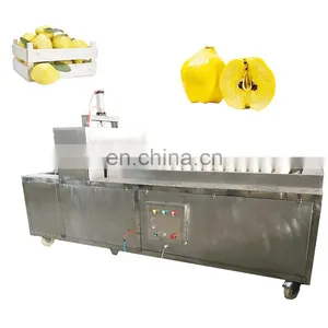 Competitive Price and High Quality Quinces Corer On Sale thumbnail-2