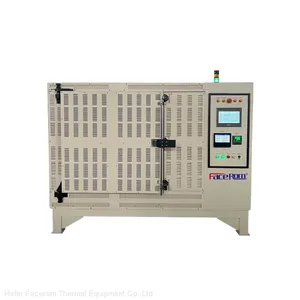 Facerom Forced Convection Debinding Furnace thumbnail-5