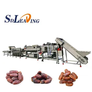 Dates Cleaning Machine Fruit Cleaning Equipment Brush Washing Machine Dates Washing Processing Line thumbnail-5