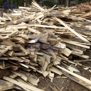 Wood Pulp Dryer Timber Rubber Wood Drying Oven Wood Drying Kiln Machine thumbnail-5