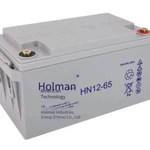 Holman Batteries Hn12-100, Hn12-65, Hn12-38, Hn12-24 for Emergency Backup Energy Storage in Computer Rooms thumbnail-3