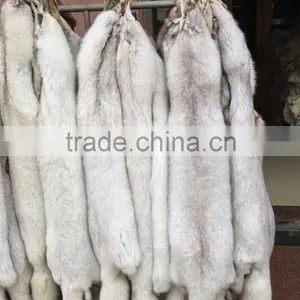 Factory Direct Top Fox Skin Raw Material Whole Fox Skin thumbnail-1