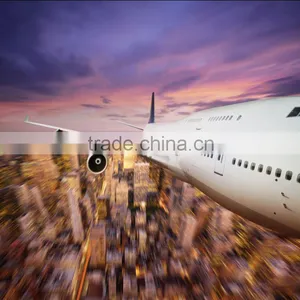 Shenzhen Air Freight/shipping China to Romania---Dolphin thumbnail-1