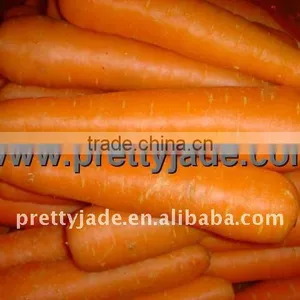 2014 New Crop Chinese Fresh Carrot Carrot Seed thumbnail-1