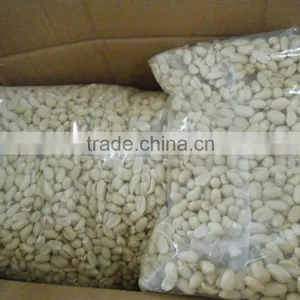 Ju'nan Country Best Quality Blanched Peanut 25/29 Size 25kg/ctn for Sale thumbnail-2