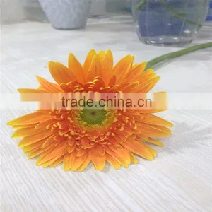 Export Decorative Fresh Cut Orange Gerbera Flower Cute For Decoration Wholesale thumbnail-4
