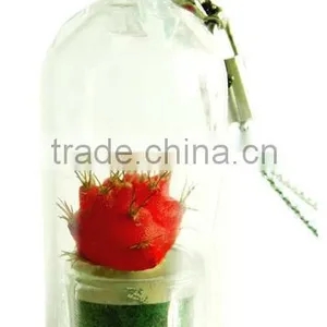 Pet Tree Keychain Mini Pet Plant thumbnail-6