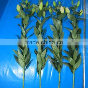 China Oriental Lily Flower Wholesale Fresh Cut Flowers thumbnail-1