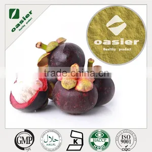 ISO Kosher Certificate 95% Mangostin Mangosteen Extract Xanthone Powder thumbnail-1