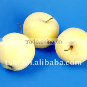 Fresh Yellow Golden Delicious Apple thumbnail-1
