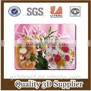 2015 Factory Supply Creative Lenticular PP/PET 3D Table Mat With Four Color Printing thumbnail-6