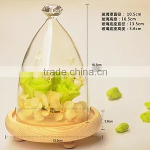 Round Glass Dome, Glass Bell Jar,Glass Dome Cover thumbnail-2