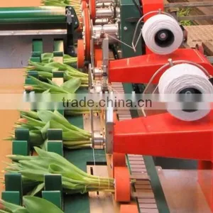 Norwayho Elastic Twine for Flower Binding thumbnail-1